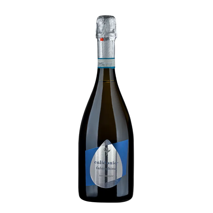 NV Terre Stregate Calidonio Vino Spumante Brut 0,75 lt